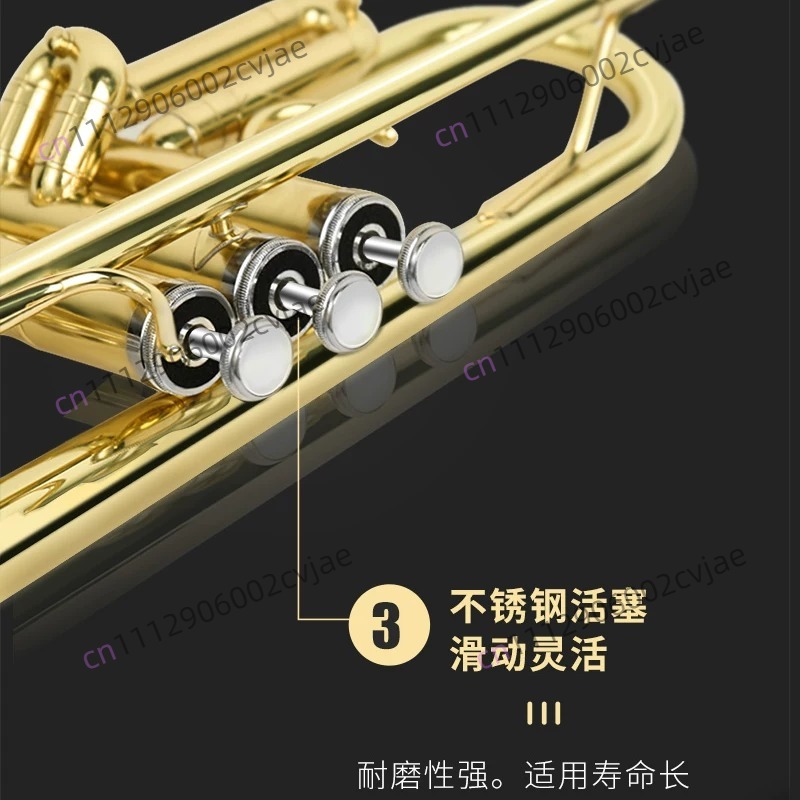 Cocok untuk alat musik terompe - Musical Instrument Band ulasan dan harga