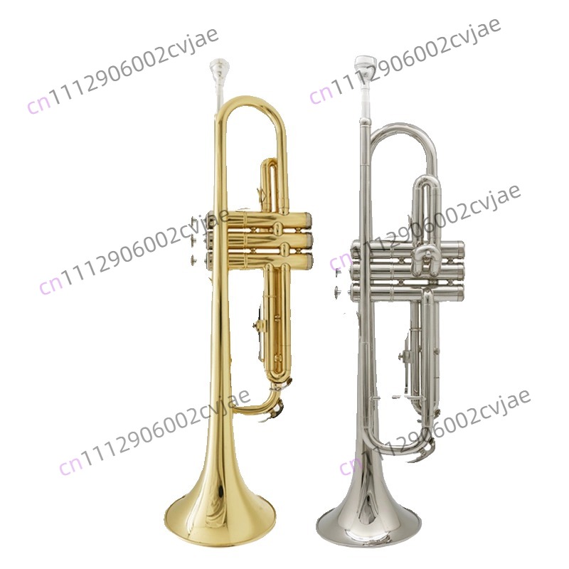 Cocok untuk alat musik terompe - Musical Instrument Band ulasan dan harga