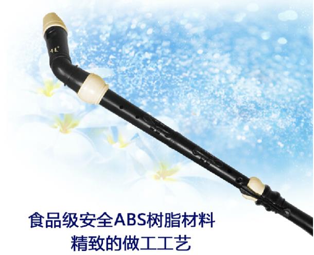 Profesional 8 Lubang Baroque B - Musical Instrument In Chinese ulasan dan harga