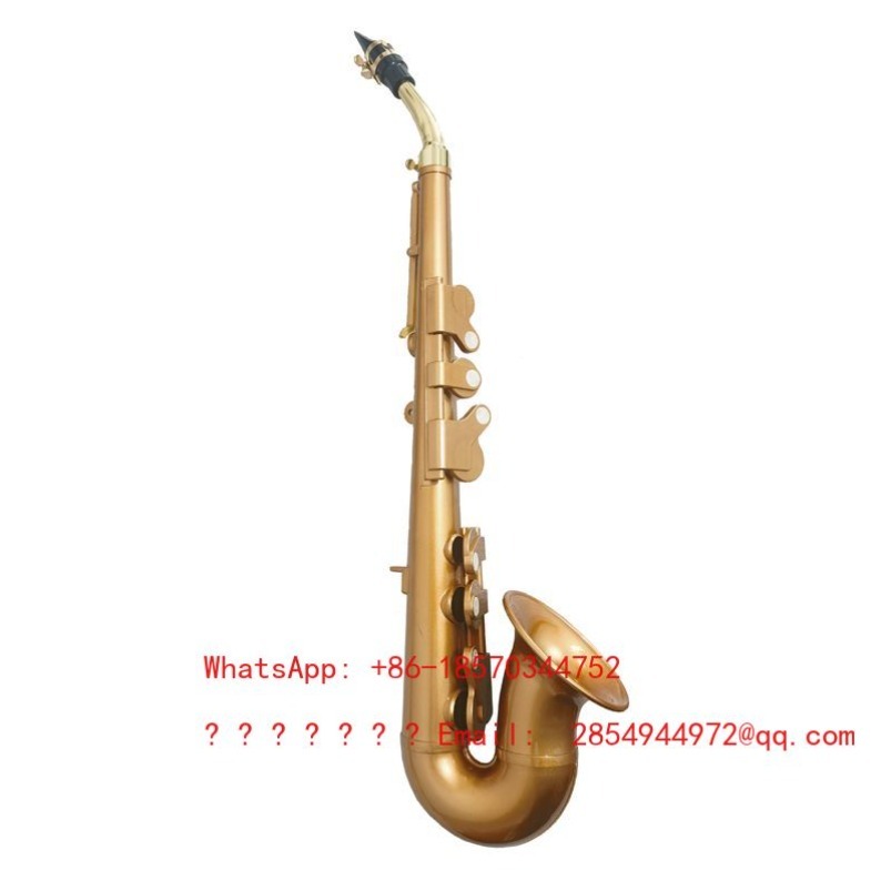 Saxophone Resin Instrumen Musi - Musical Instrument Easy To Learn ulasan dan harga