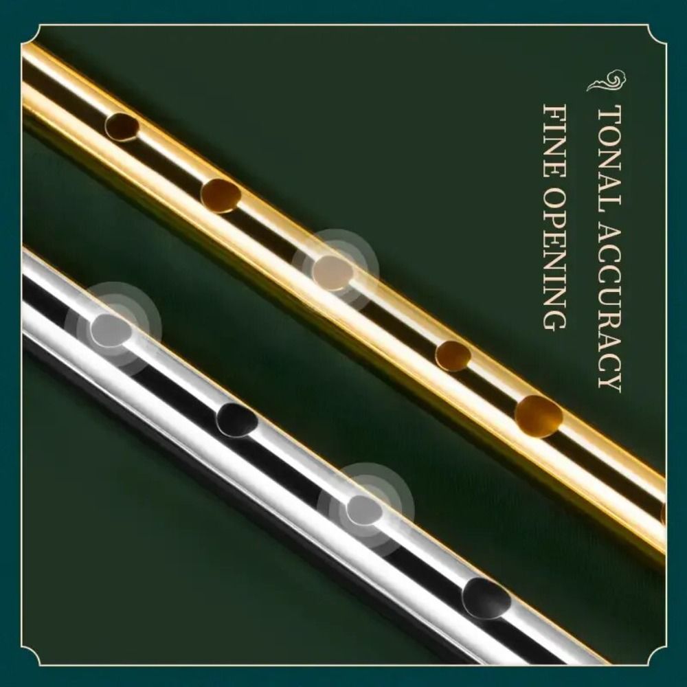 Seruling Tiup Irlandia 6 Luban - Musical Instrument Easy To Learn ulasan dan harga